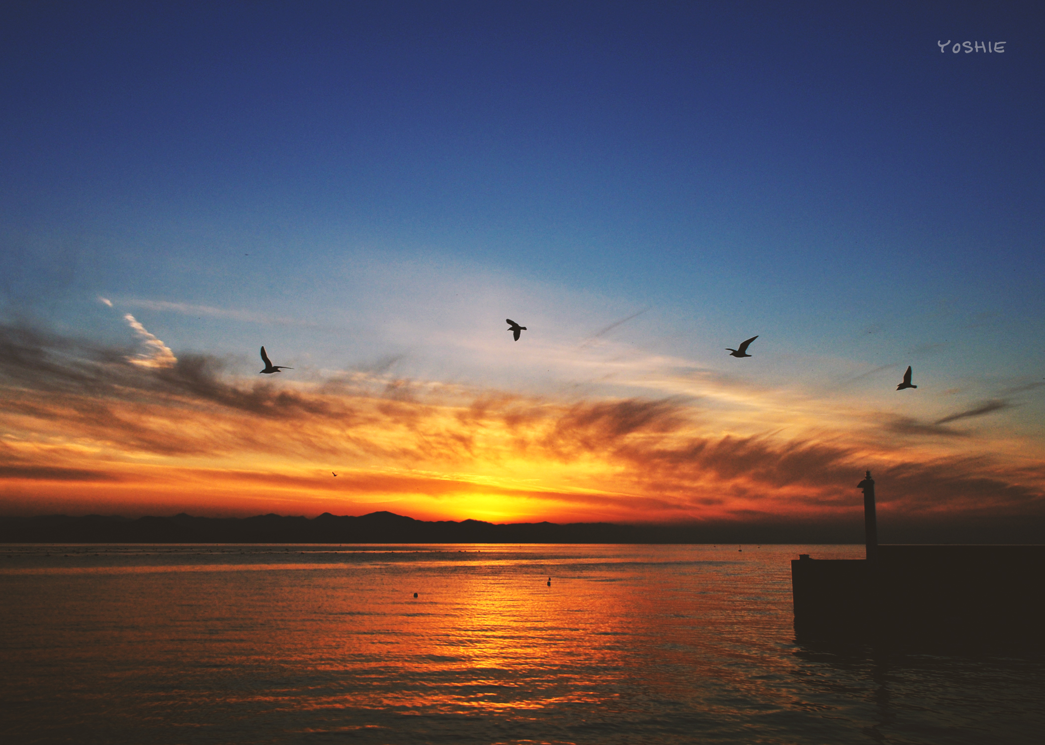 【淡路島の南海荘】夫婦の食卓、私の気持ち。