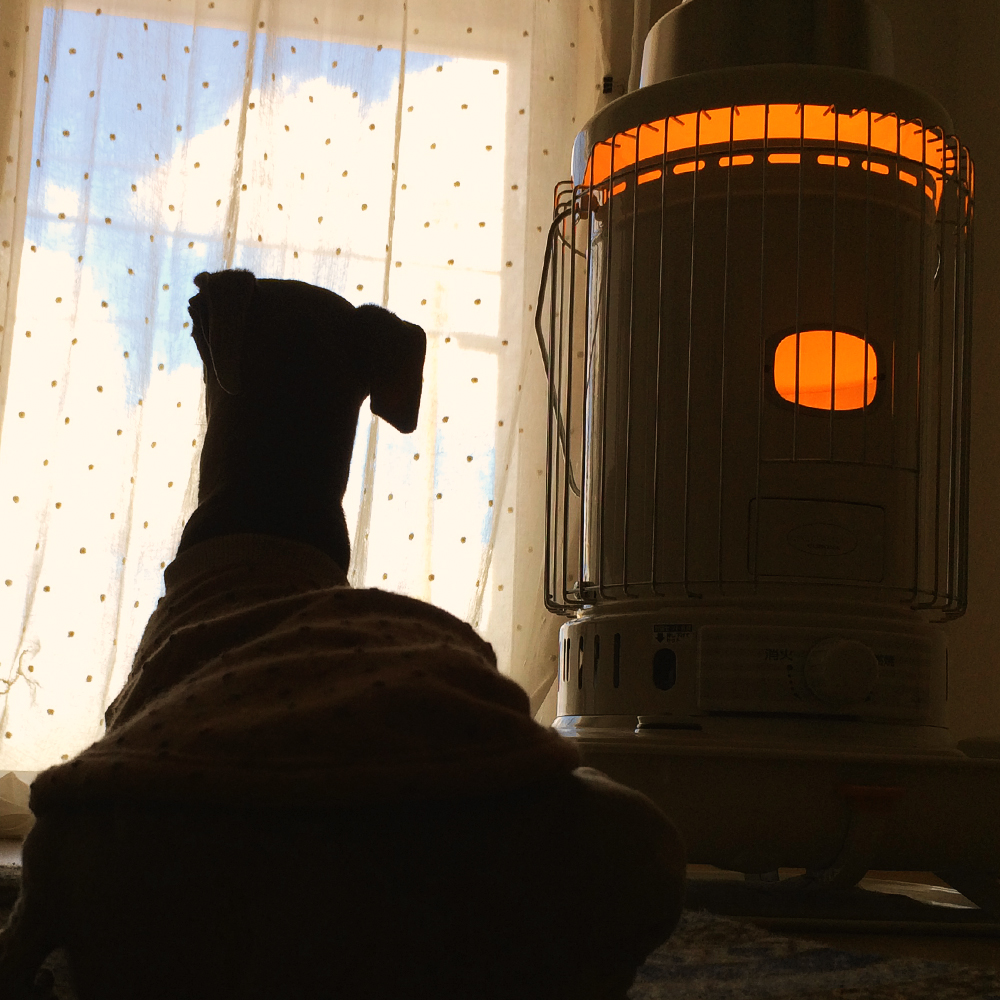 2016年最後の新作犬服に込めた想い。愛犬と織りなす暮らし。|なないろのいと。