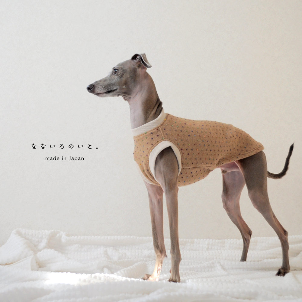 2016年最後の新作犬服に込めた想い。愛犬と織りなす暮らし。|なないろのいと。