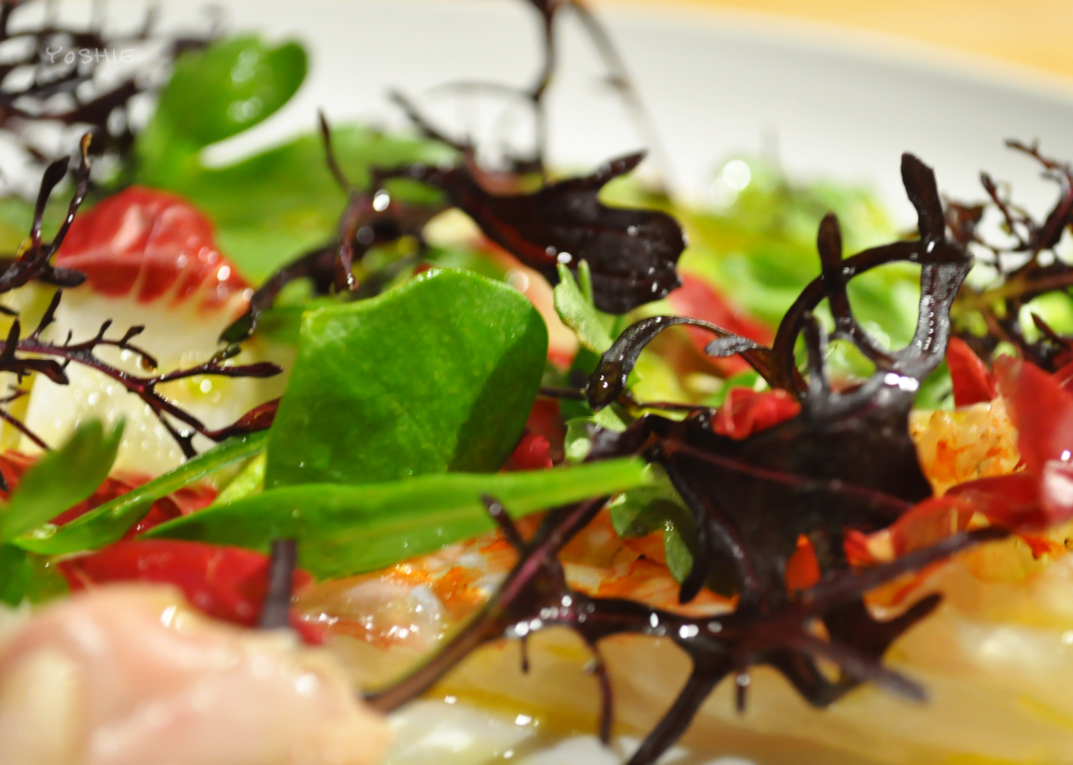 【淡路島の南海荘】夫婦の食卓、私の気持ち。