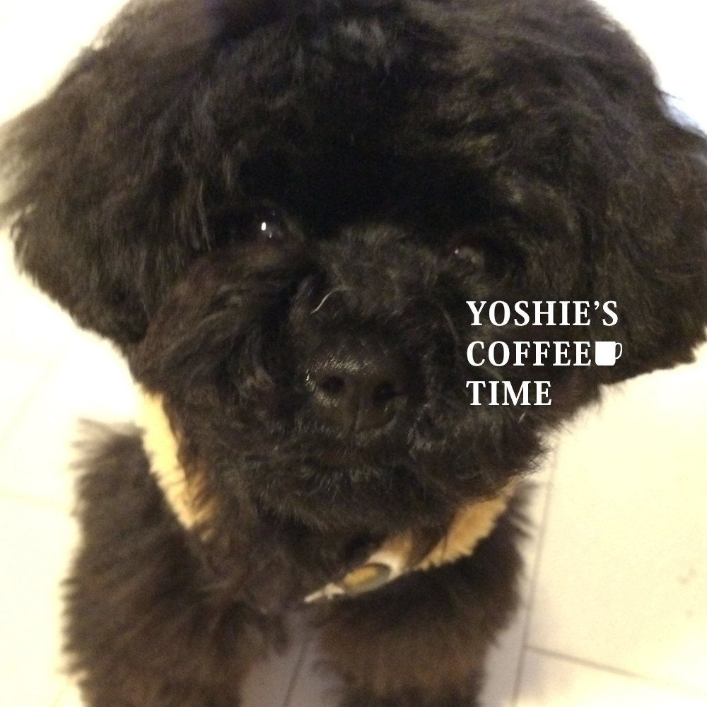 YOSHIE'S COFFEE TIME-こんな私ですが、2017年もよろしくです♪
