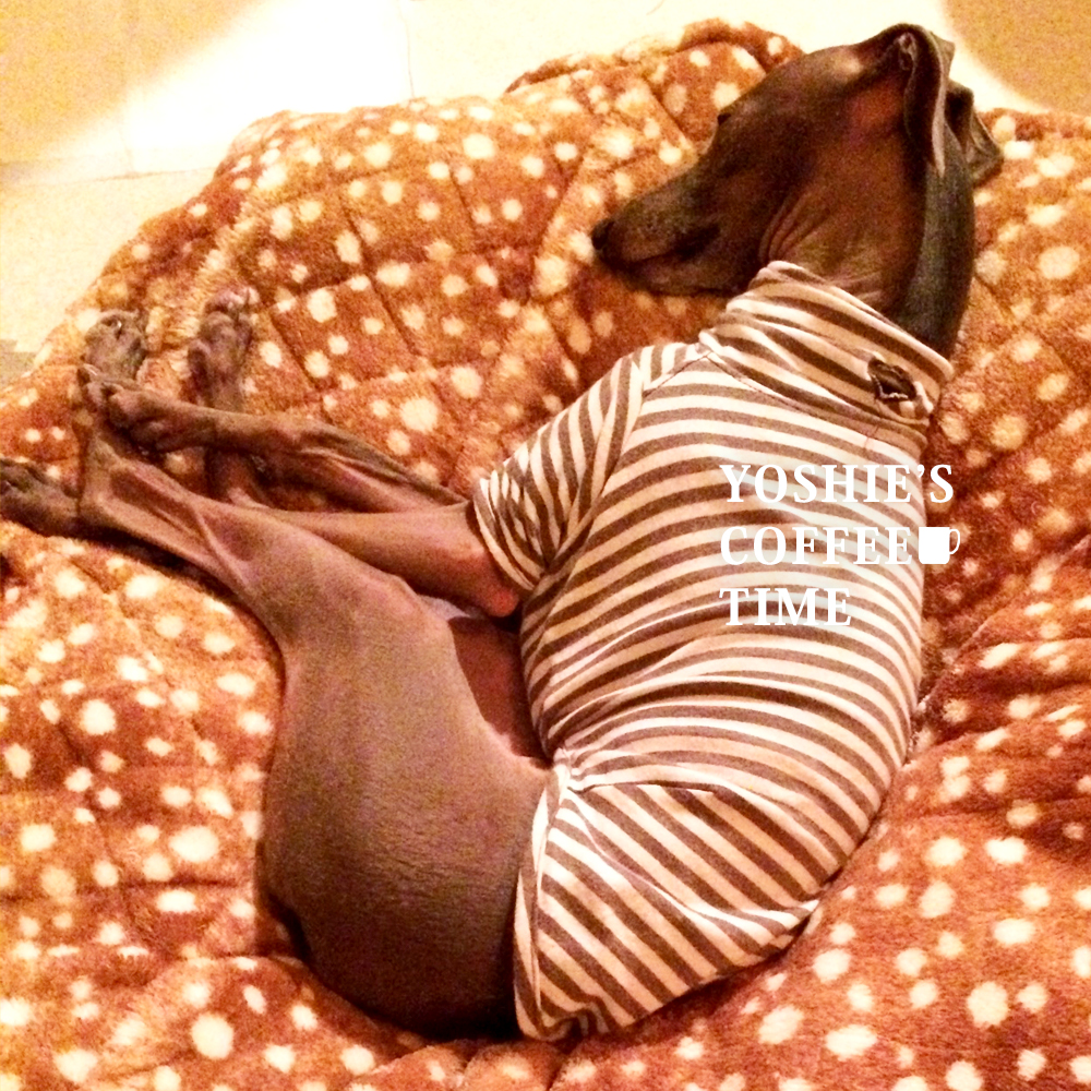 YOSHIE'S COFFEE TIME-こんな私ですが、2017年もよろしくです♪