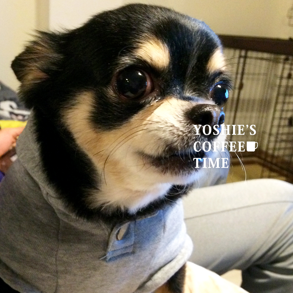 YOSHIE'S COFFEE TIME-こんな私ですが、2017年もよろしくです♪