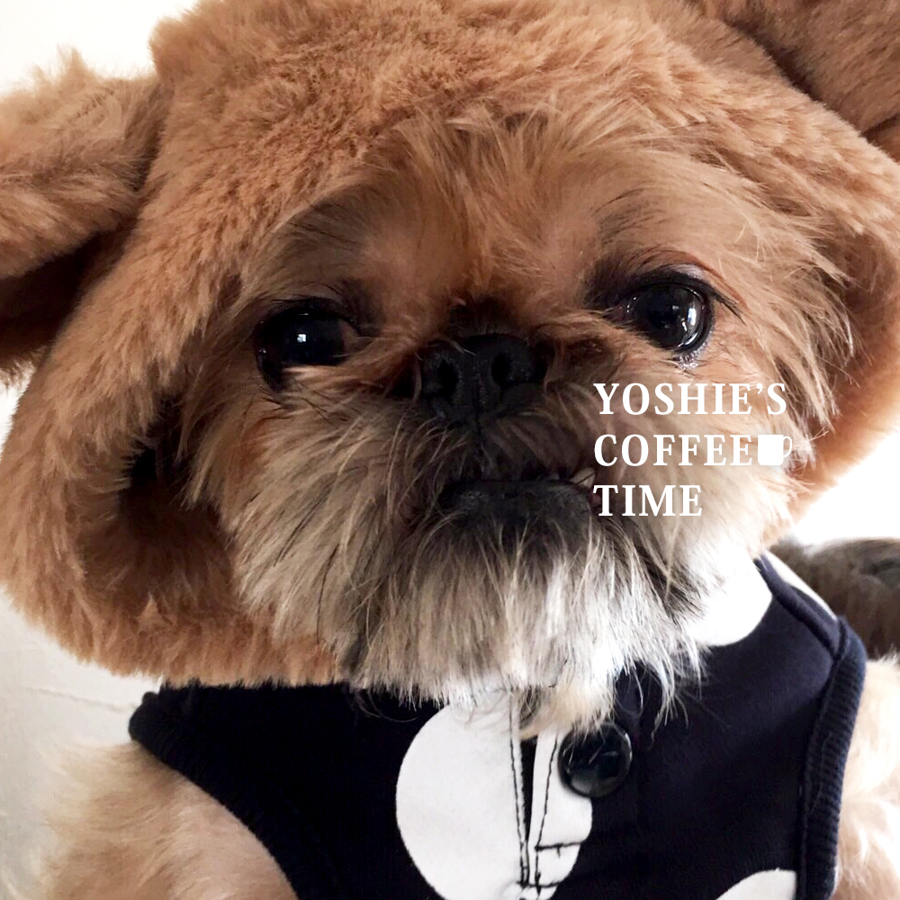 YOSHIE'S COFFEE TIME-こんな私ですが、2017年もよろしくです♪