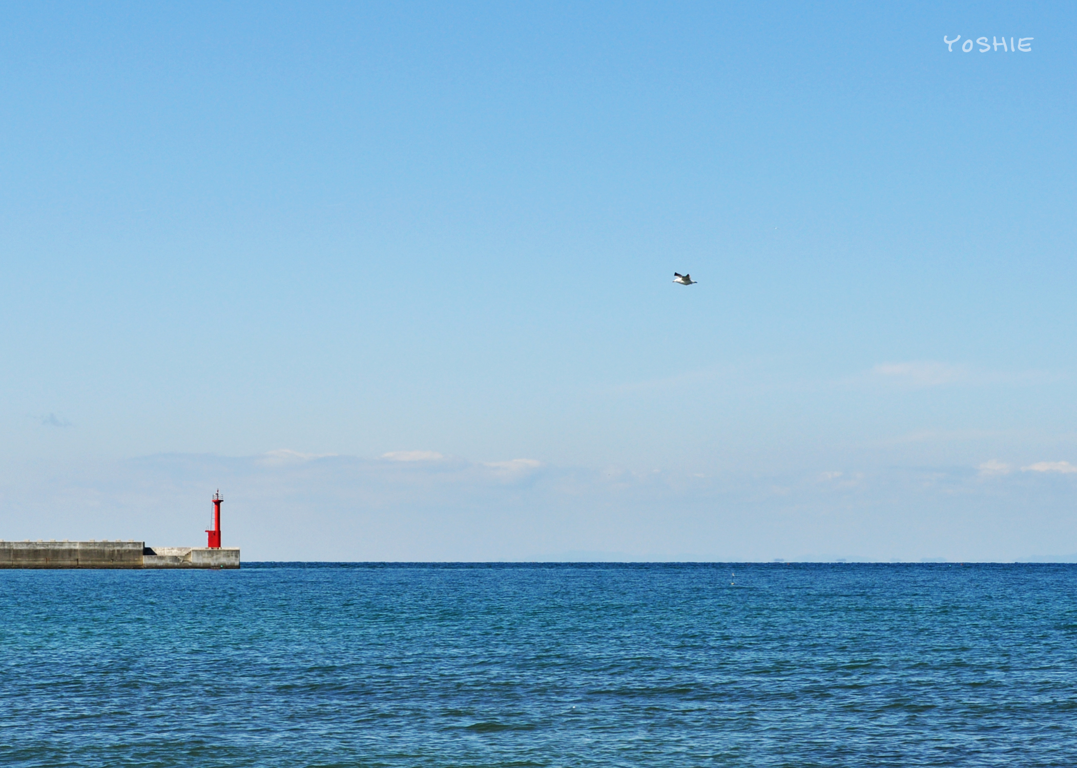 海へ。春が近づいてきてる。