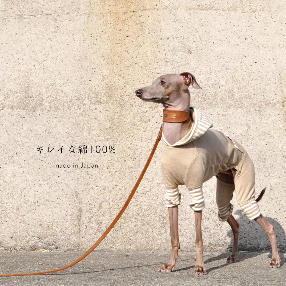 「新作犬服」もうすぐ春だね。「キレイな綿100%の杢天竺ニット×カンガルーポケット」を着てどこ行こう。