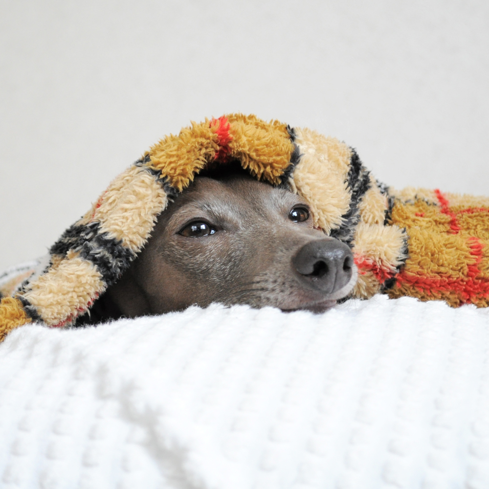 満員電車に最後駆け込む時に隣の人と押し合う感じ。