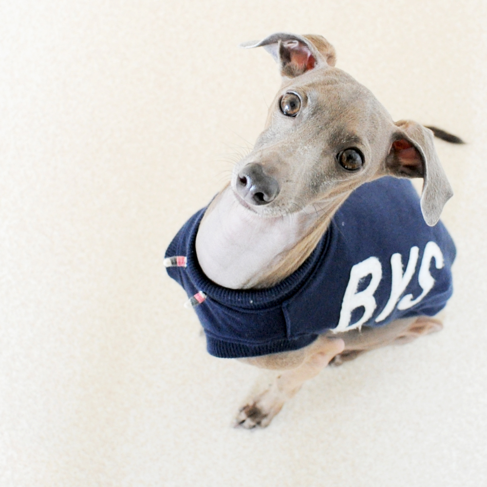 淡路島に越してきてパート2「マクドまで山越えて車で30分」