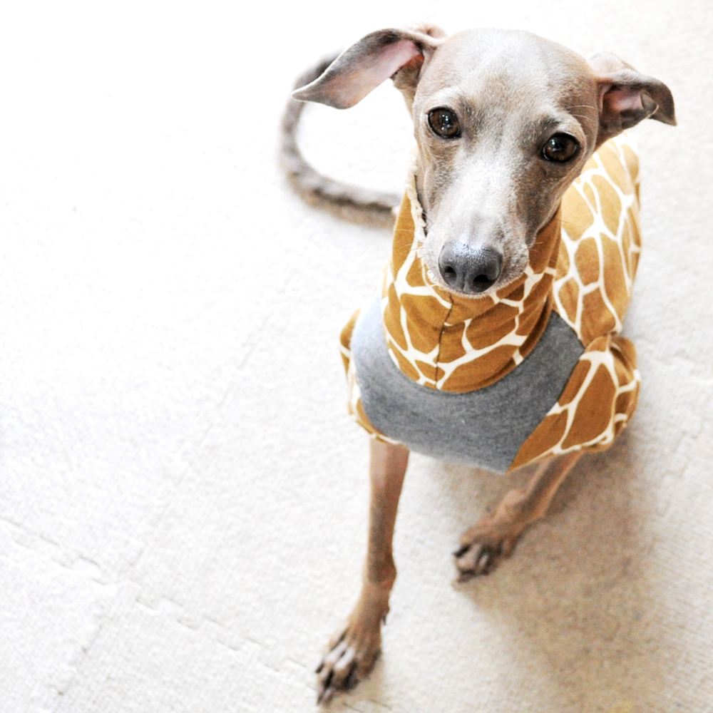 お座りしてます。早く下さい。