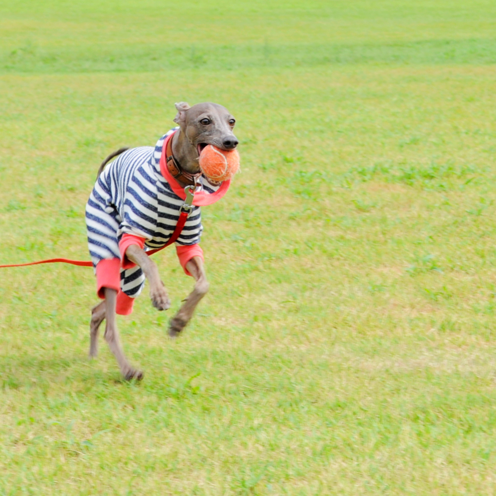 女子大学生にプチヤキモチ。。
