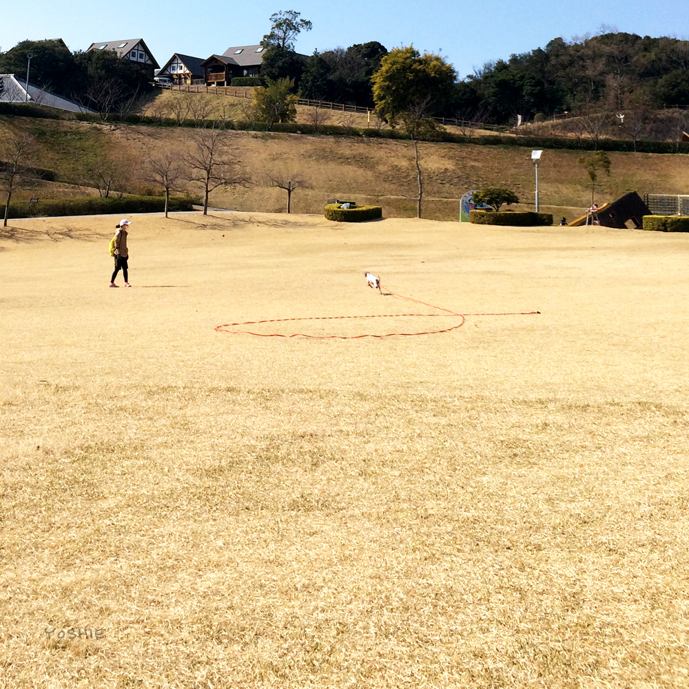 猛スピード！！目ギラギラ"""