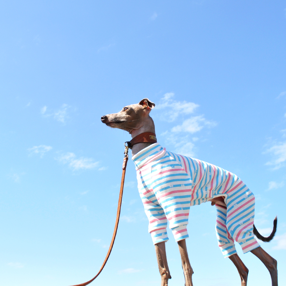 田舎に住むなら、役所の近くがいい。