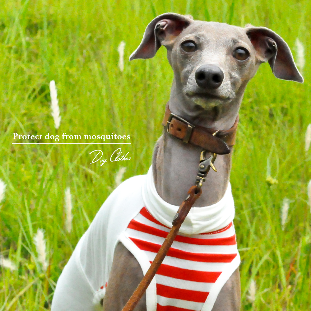 ダッシュしては飲む。ダッシュしてはリバース。