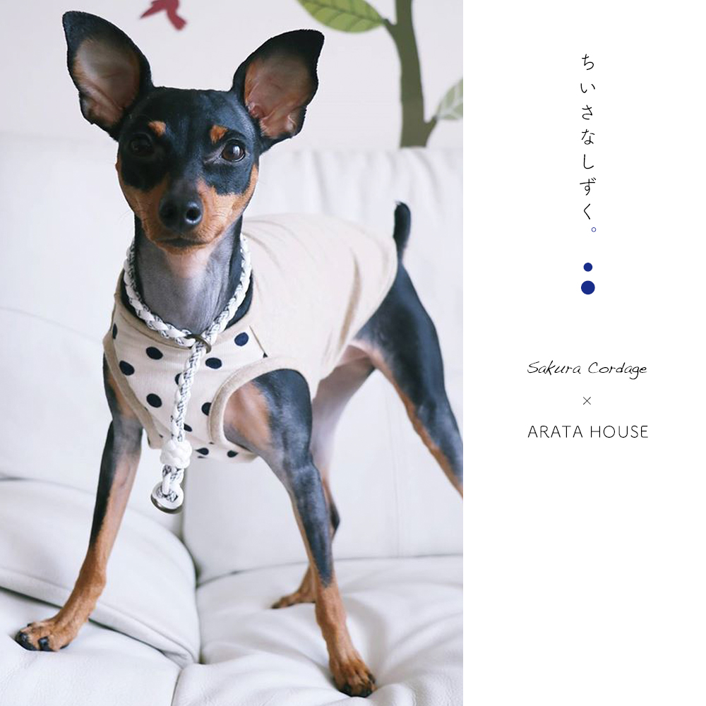 犬服｜ちいさなしずく。｜コーデュロイドット｜選べる４タイプ×４カラー（ベージュ/ネイビー）