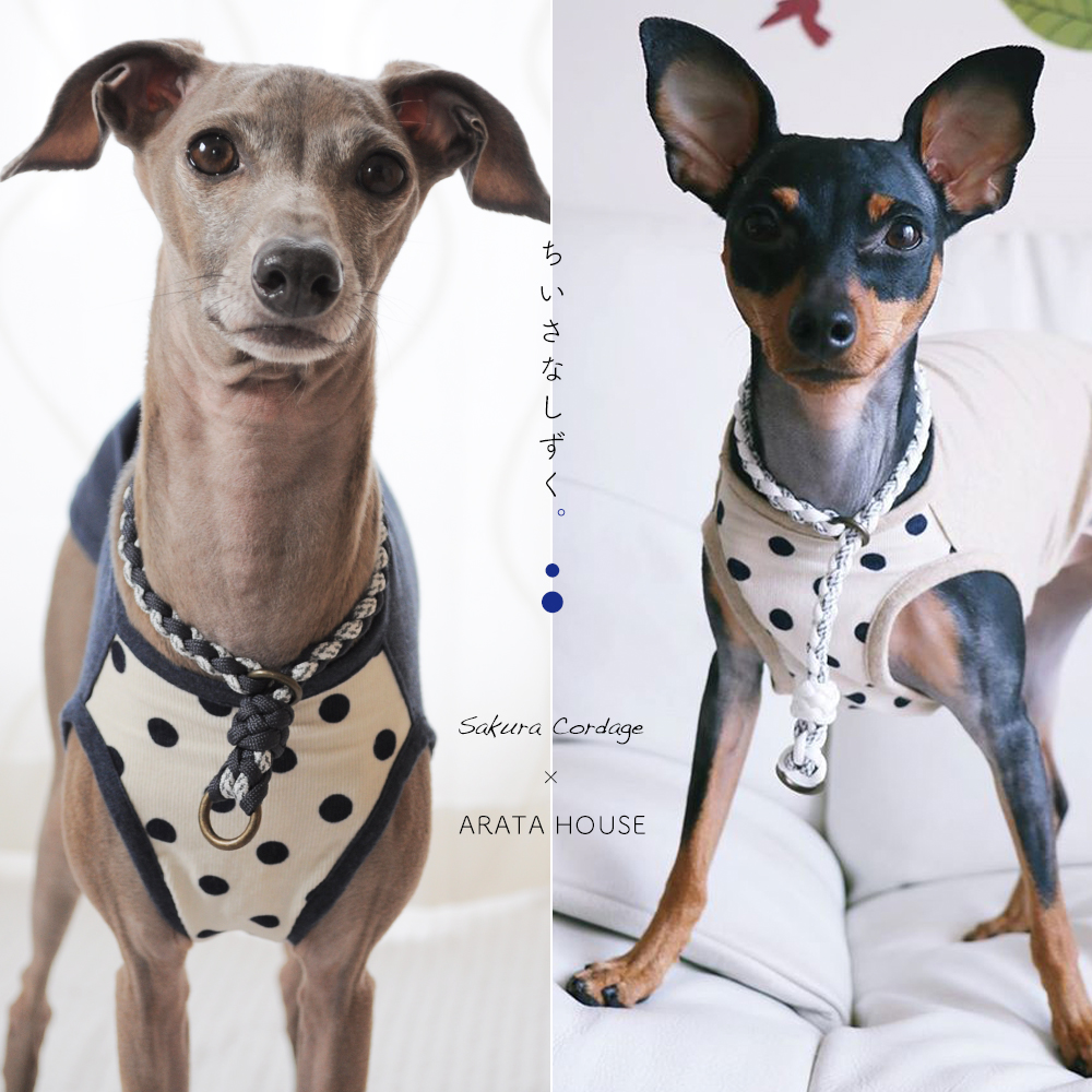 犬服｜ちいさなしずく。｜コーデュロイドット｜選べる４タイプ×４カラー（ベージュ/ネイビー）