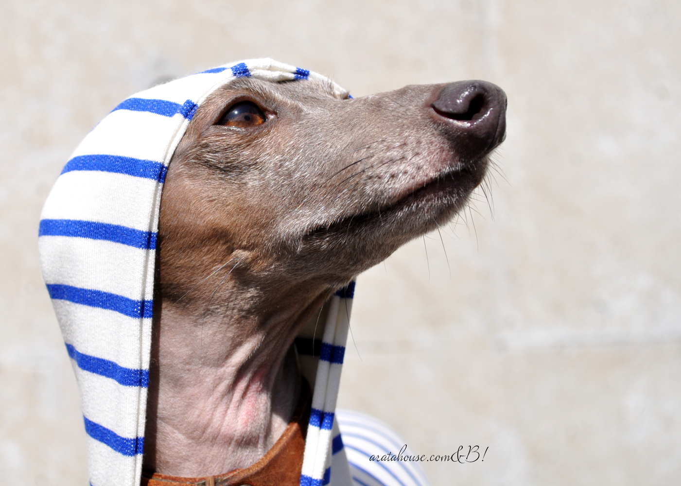 農家さんが畑で叫ぶ!!!