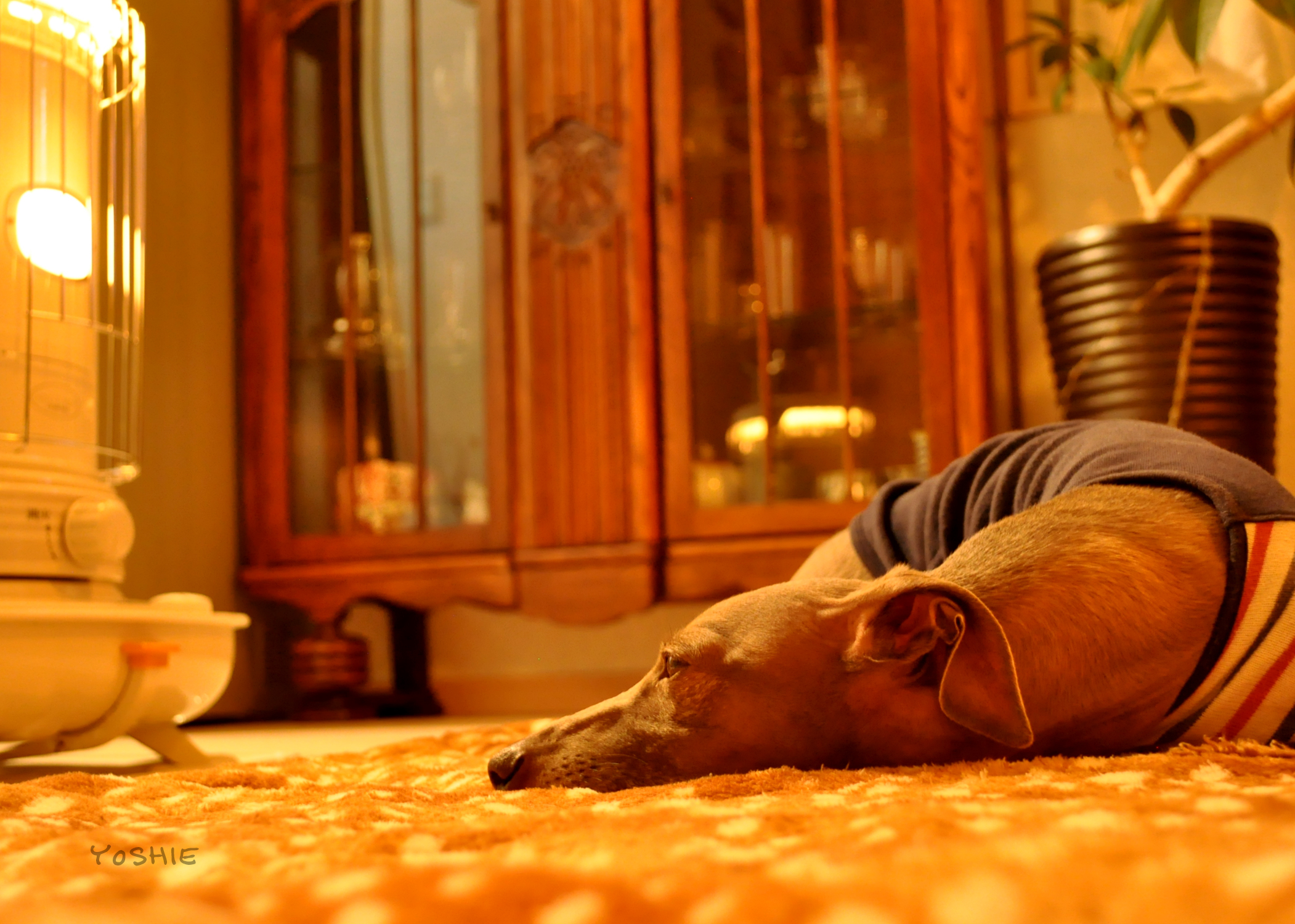 おお女性は怖いなぁ〜