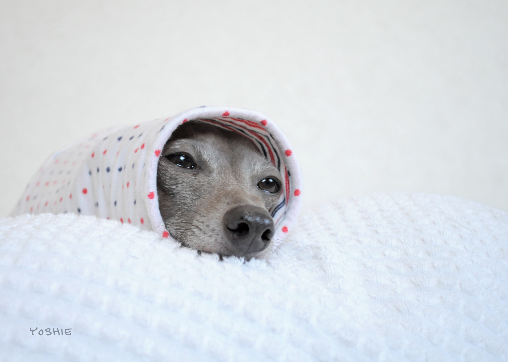 素敵☆惚れちゃう♡惚れてます。"Fall in love"