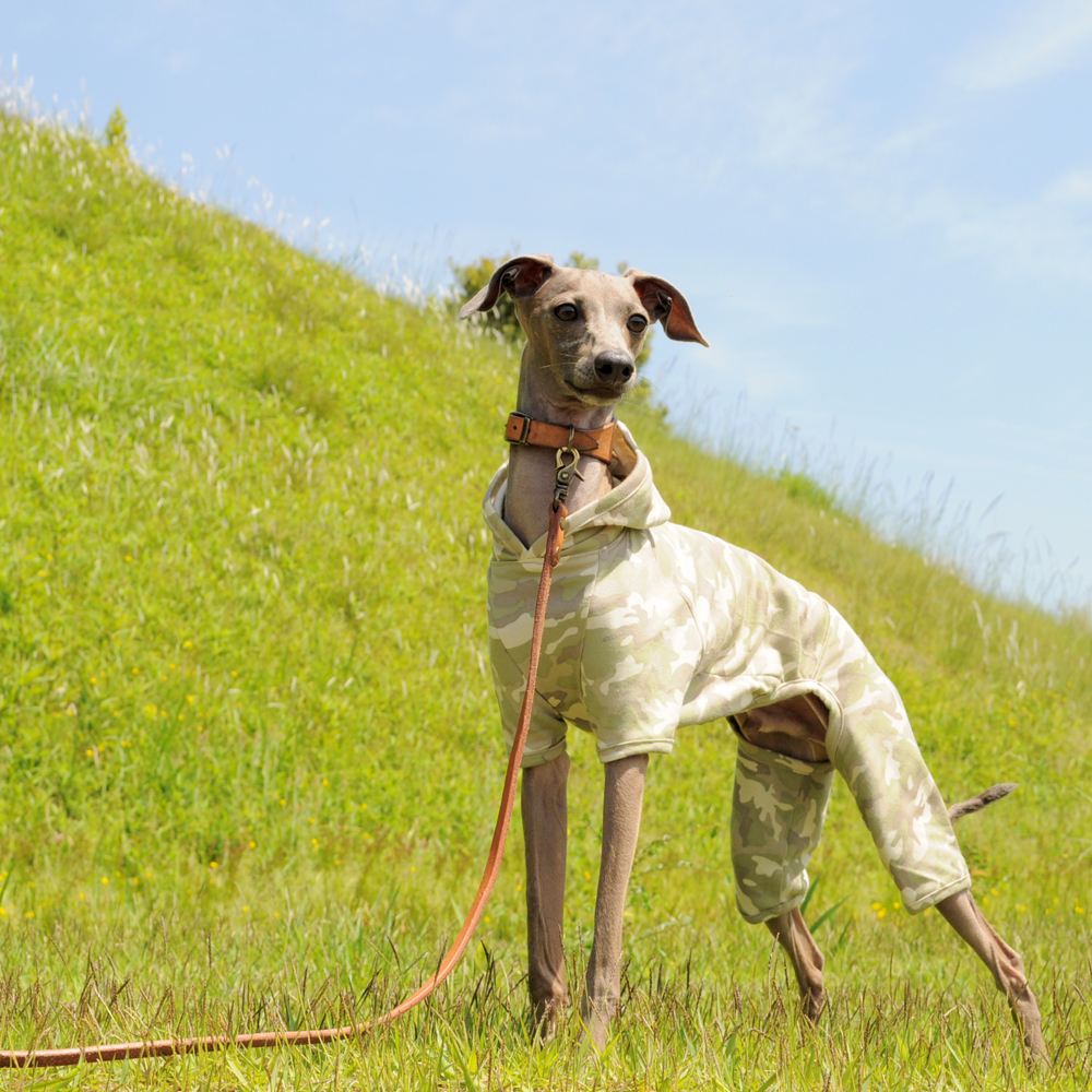 小麦粉コネコネ。