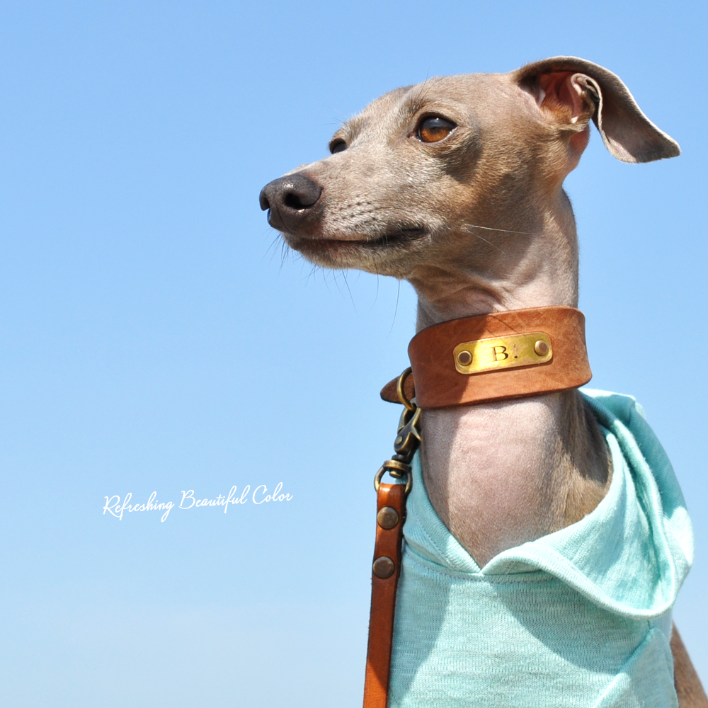 鼻歌Buono!は今日はとっても不機嫌でっ