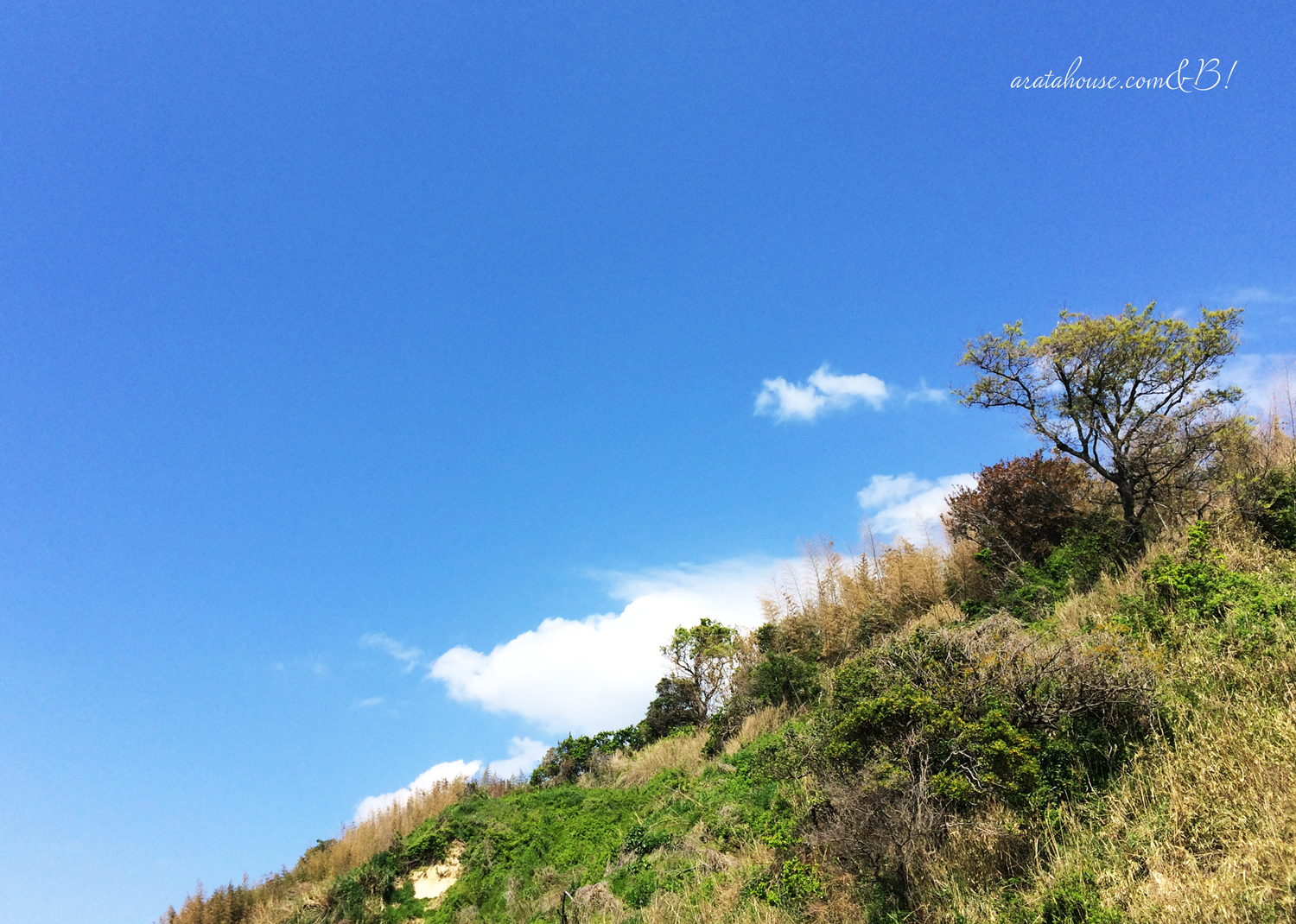 淡路島の海を見ながら走る。