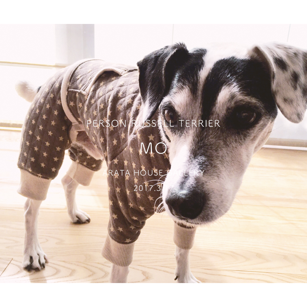 お客さんから写真（雛形）01