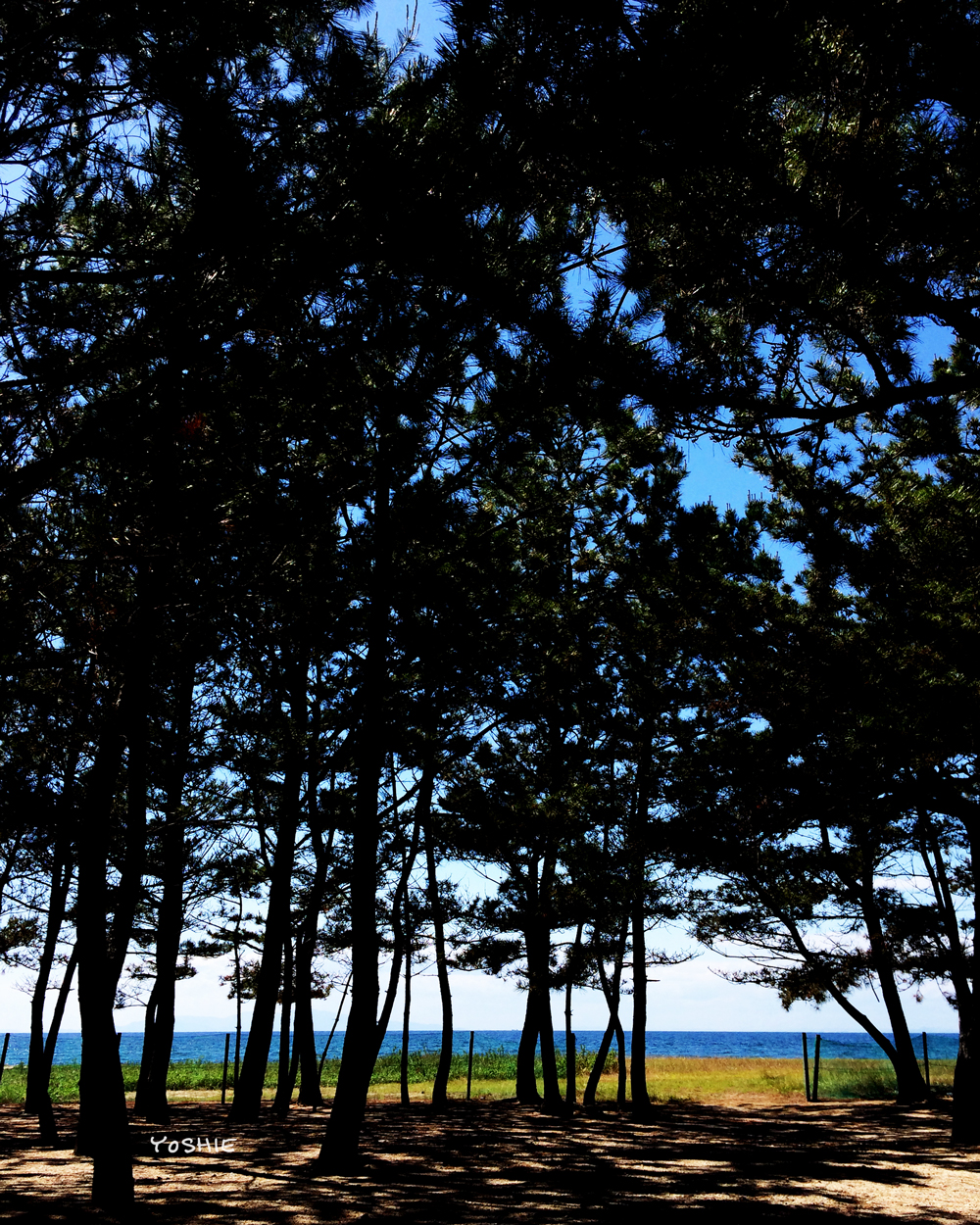 「淡路島の暮らし」七輪を持って海辺で気軽にのんびり、そんな気分。