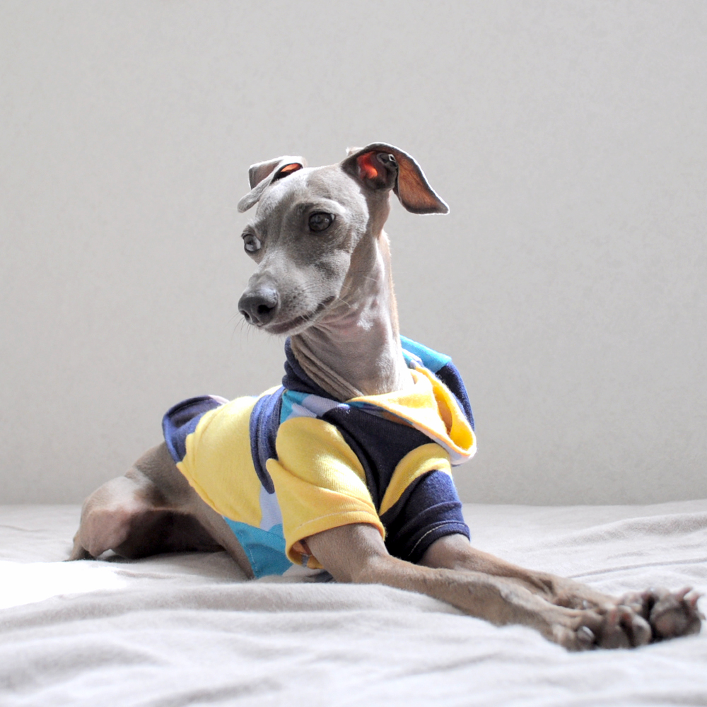 最近乾燥気味。。Buono!も乾燥気味。。。