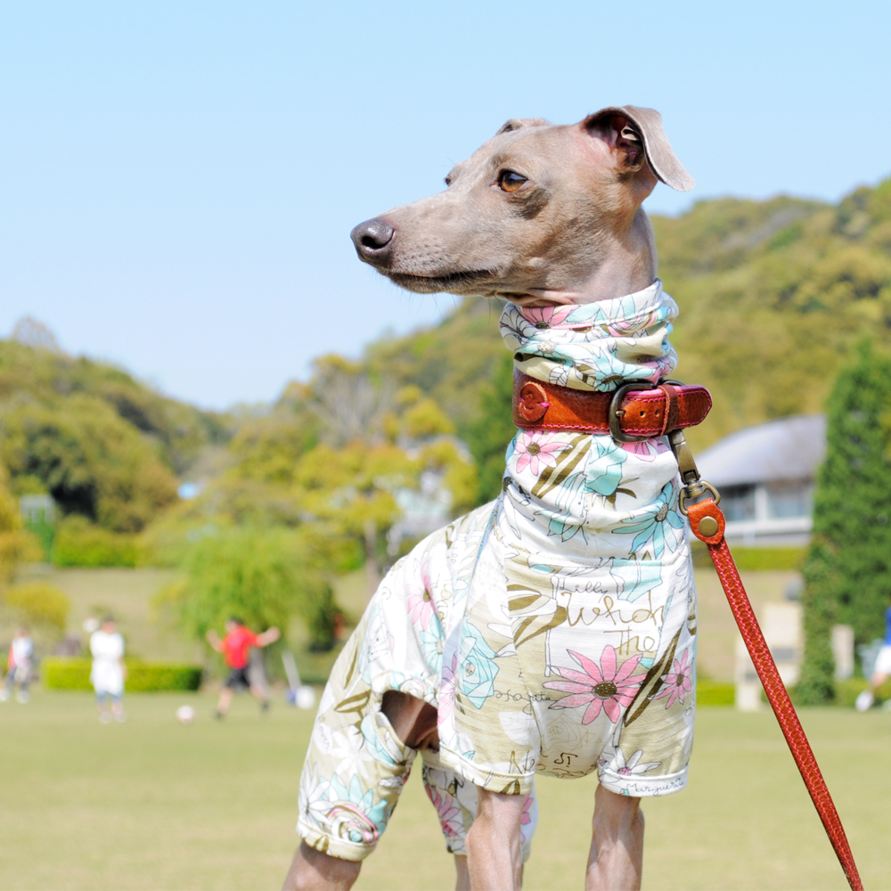 「犬服|Flower Garden|在庫追加/2017年5月30日pm21:00に追加します」Buono!も大好き、みんなも大好き可愛いお花のお洋服♪