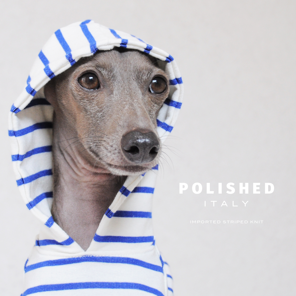 淡路島の海辺を散歩!で偶然かわいいかわいいお顔のイタグレに!!「イタちゃんやぁ〜」