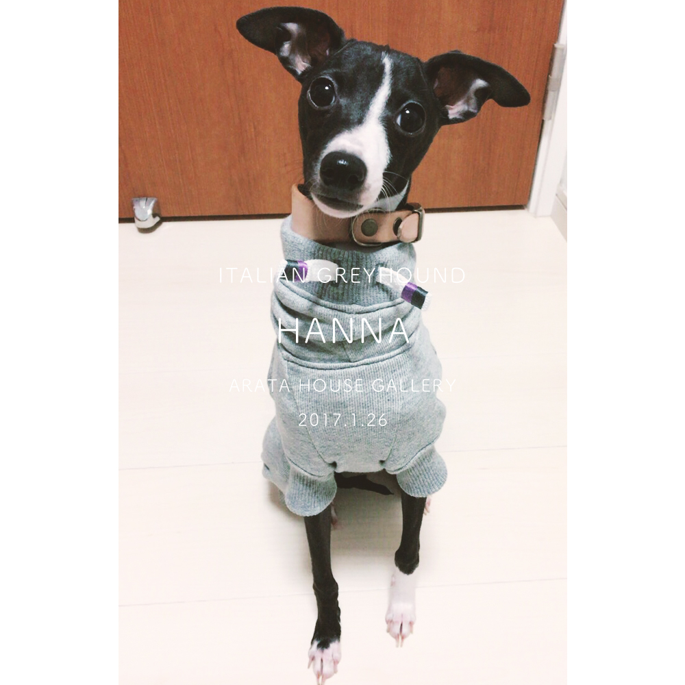 写真撮るなら撮るってゆってよ〜「イタグレ/ハンナ♡」