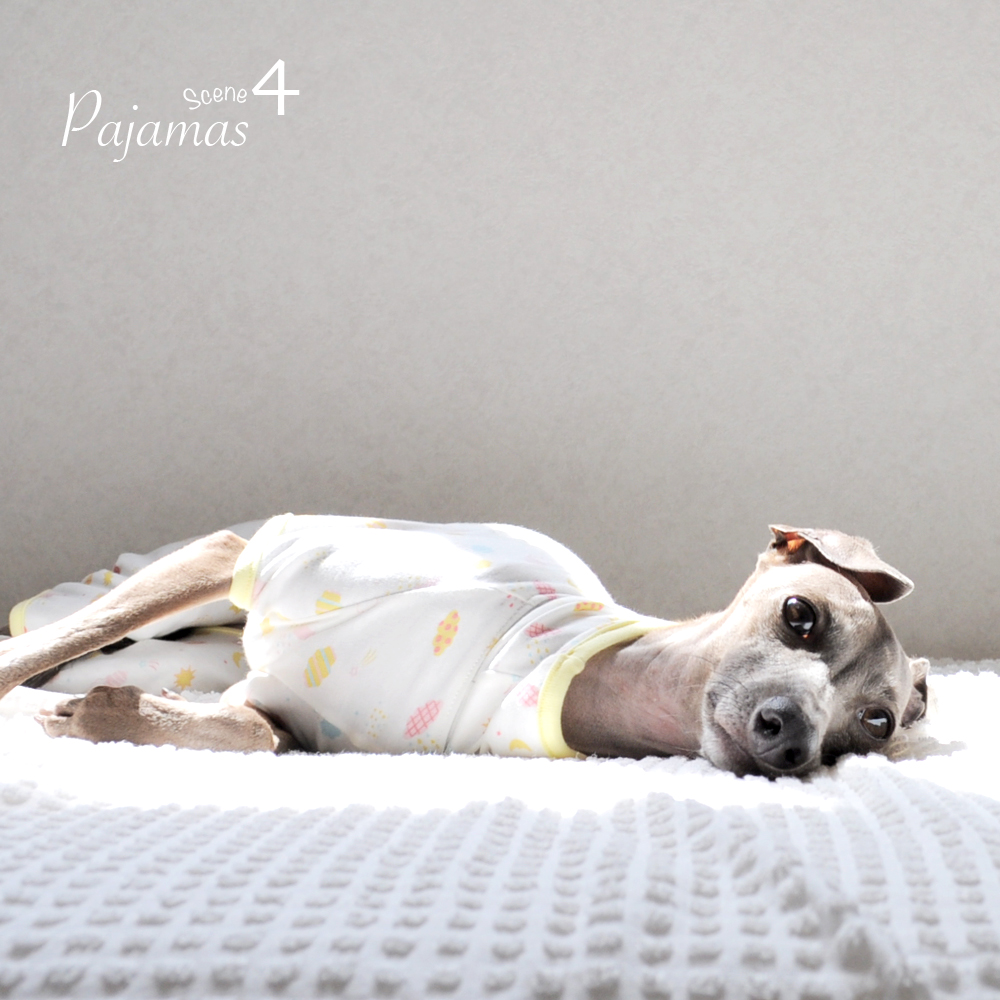 イタグレBuono!の「体調管理アイテム」は「ぱじゃま」です。「Happy life」に新色追加しました。