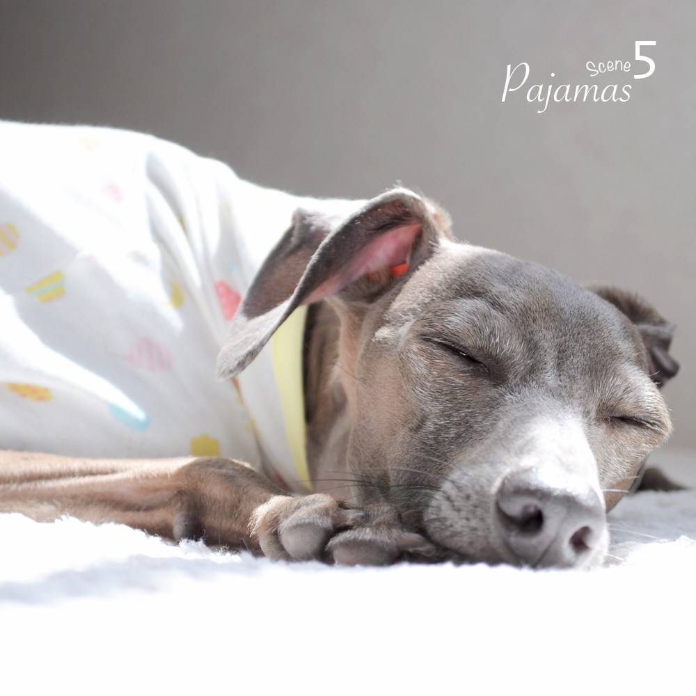 イタグレBuono!の「体調管理アイテム」は「ぱじゃま」です。「Happy life」に新色追加しました。