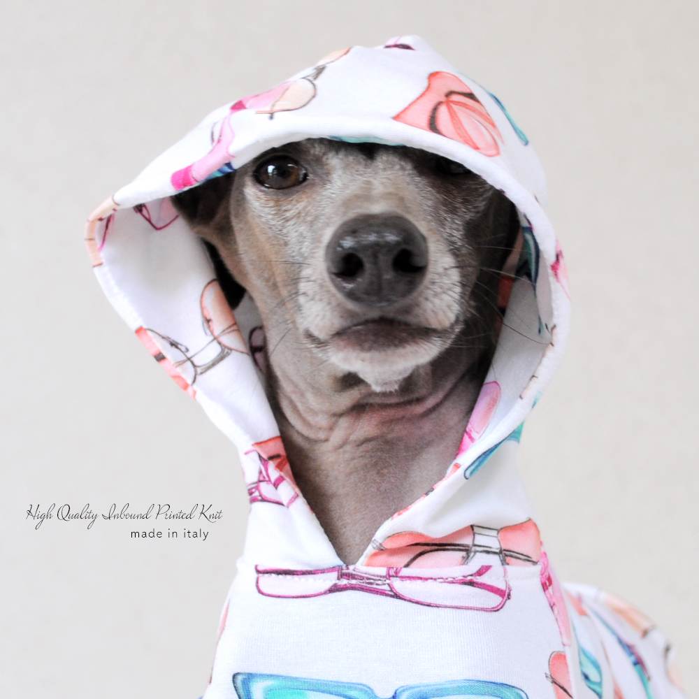 「新作犬服」可愛くポップに過ごす夏♪「上質なイタリア製舶来プリントニット」