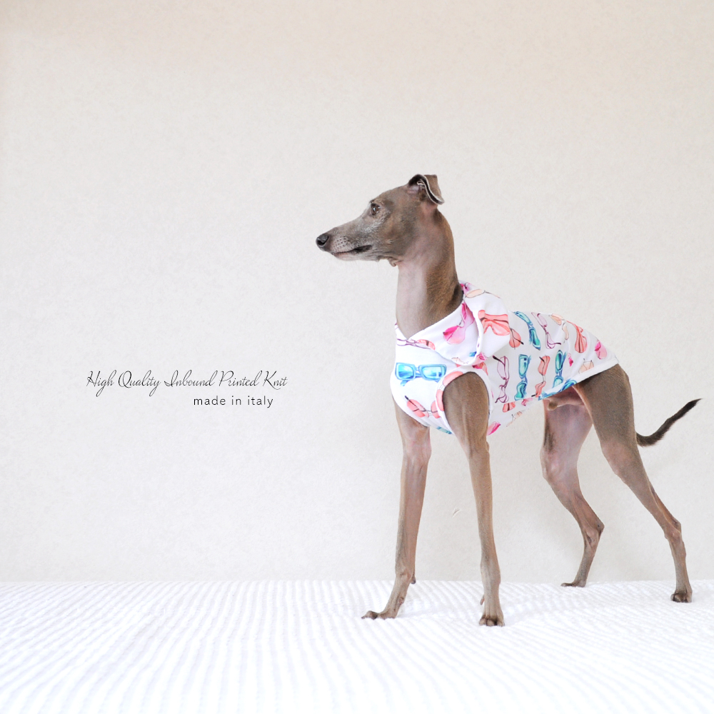 「新作犬服」可愛くポップに過ごす夏♪「上質なイタリア製舶来プリントニット」