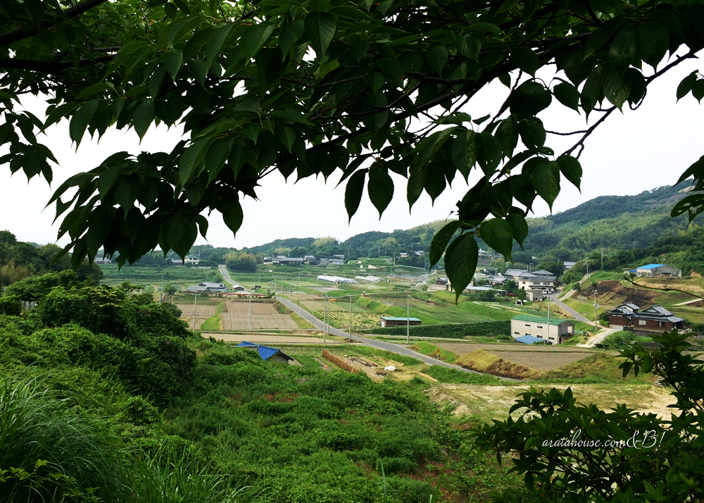 田植えが始まった！