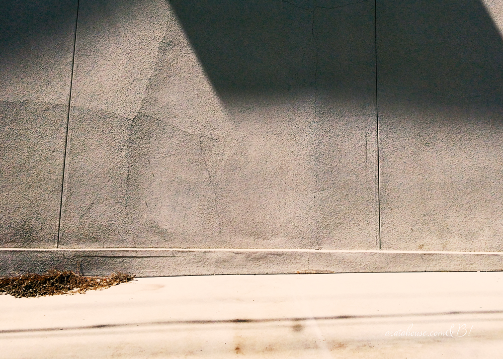 犬服の撮影スポットを海沿いをランニングしながら探す。