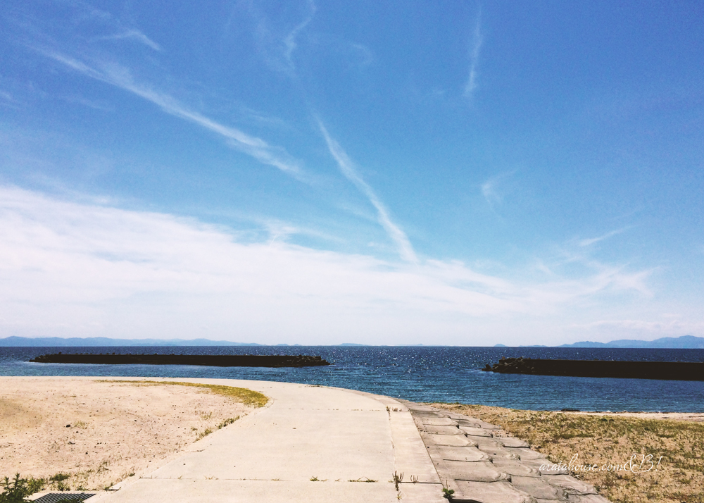 犬服の撮影スポットを海沿いをランニングしながら探す。