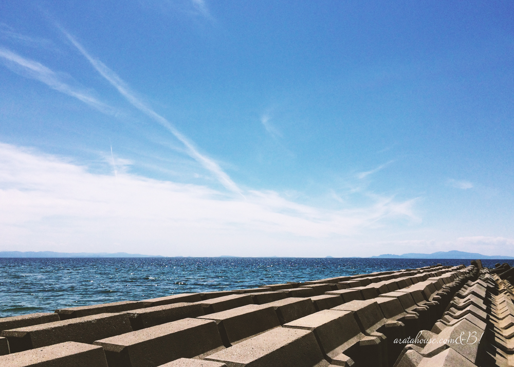 犬服の撮影スポットを海沿いをランニングしながら探す。