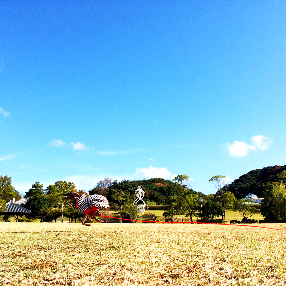 私の時は私が一緒に走らなあかんのど〜言う〜事〜！！