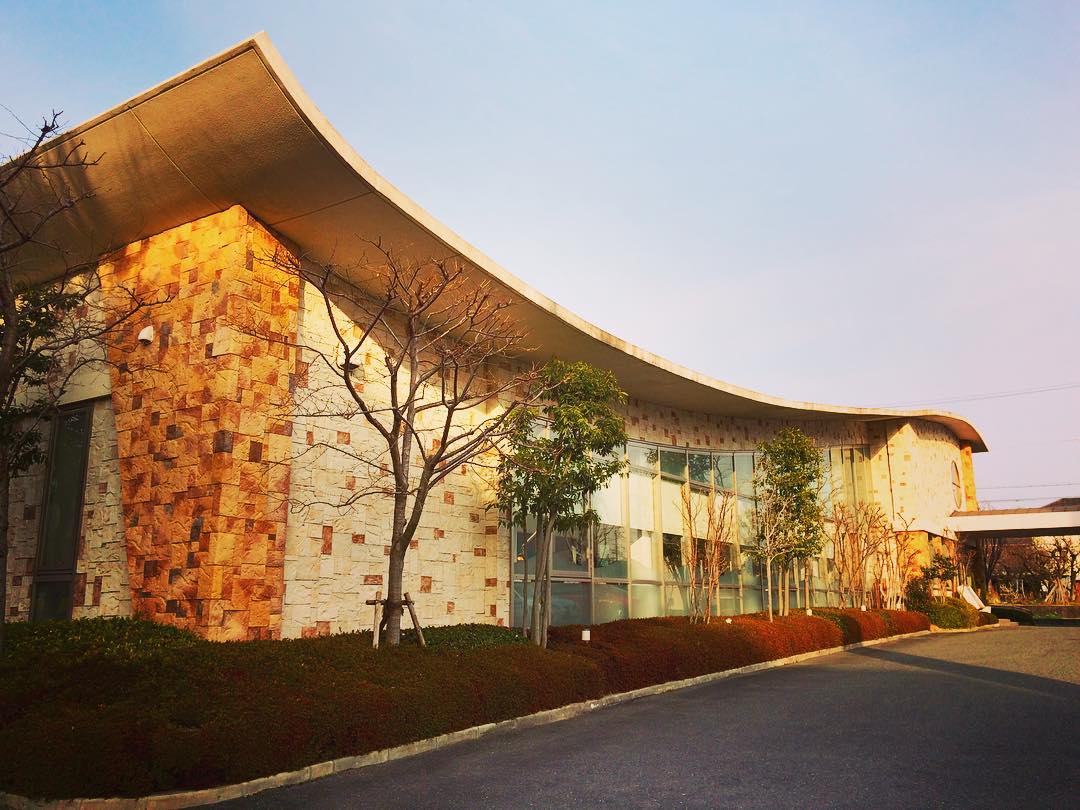 4年間かかった歯の矯正治療が終わって感じたこと「いつまでも美味しい食べ物を食べたい。」