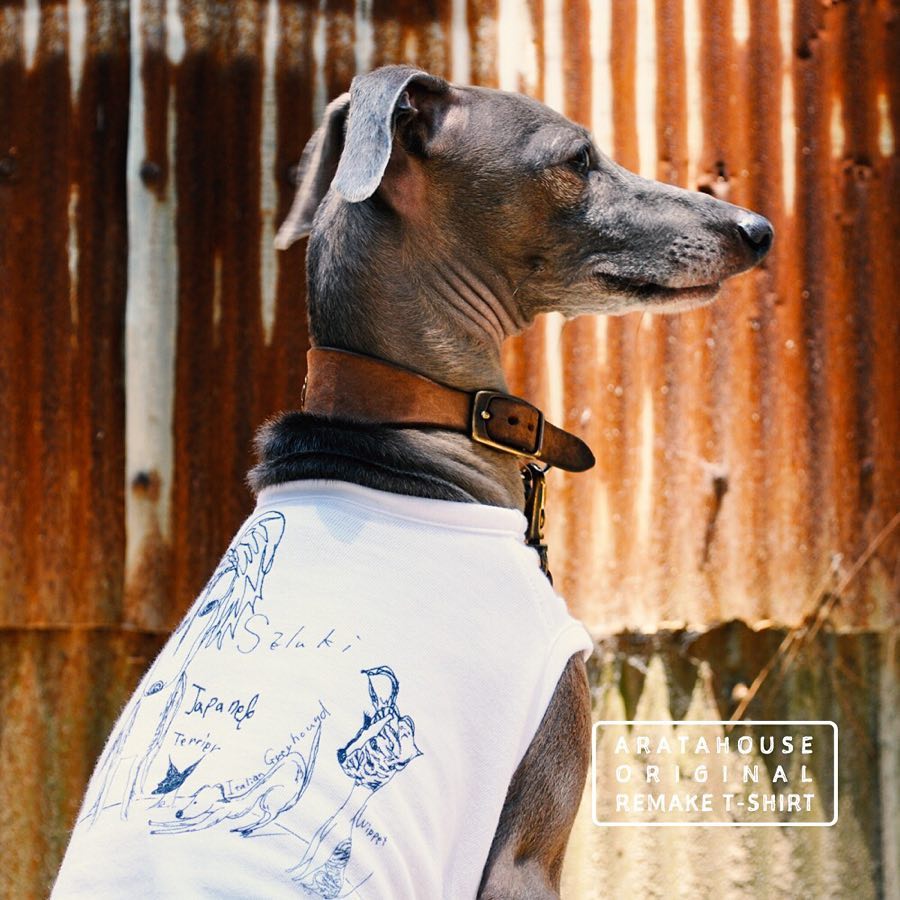 壁を見つけて喜ぶ夫婦