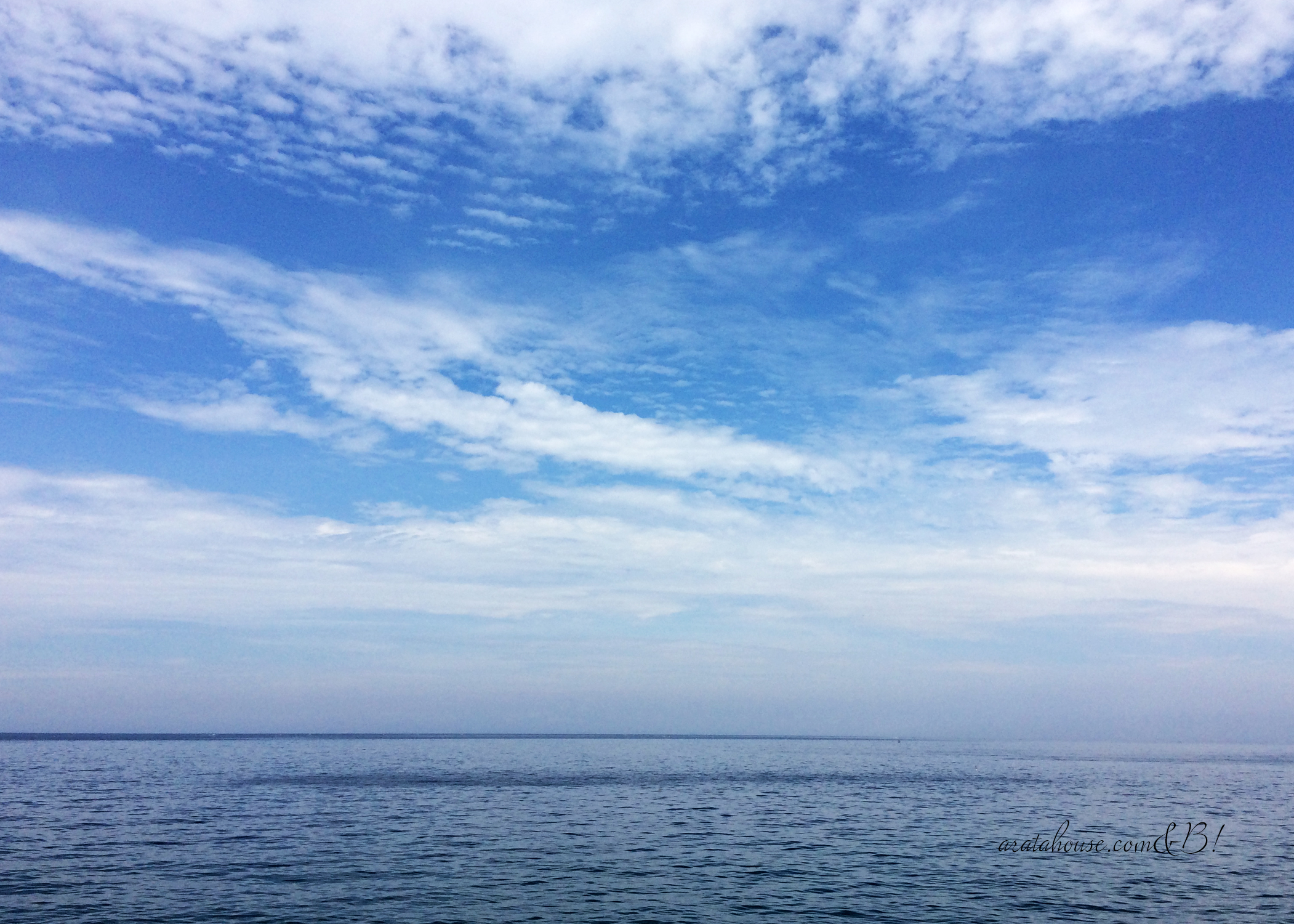 26℃の冷房がかかった部屋より、32℃の薄暗い部屋が好きなイタグレBuono!