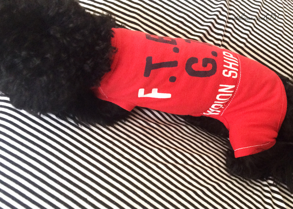 「一からの犬服作り5」仮縫い&フィッティング「ロンパースはお尻周りの形状が大切」