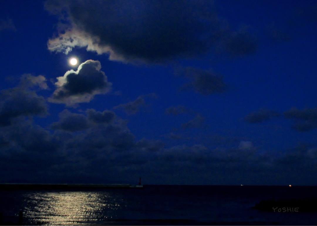 「ARATA HOUSEな休日 2017.夏/開催日決定/お申込み方法」ARATA HOUSEのヨッちゃん、シンちゃん、Buono!と淡路島で海を見ながらゆっくり語ろう♪「愛犬のお洋服の悩み、選び方&失敗しない採寸方法を実演・・・綺麗な夕焼けも見れるかも。」