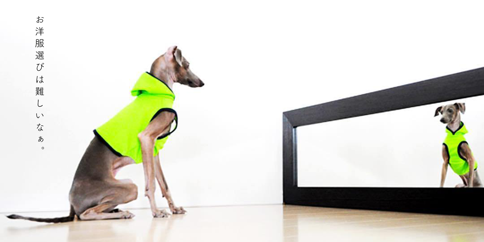 愛犬のお洋服選びが難しい。生地の柔らかさ、伸縮性、色合いがわからない？そんな時はよっちゃんがお手伝いします！