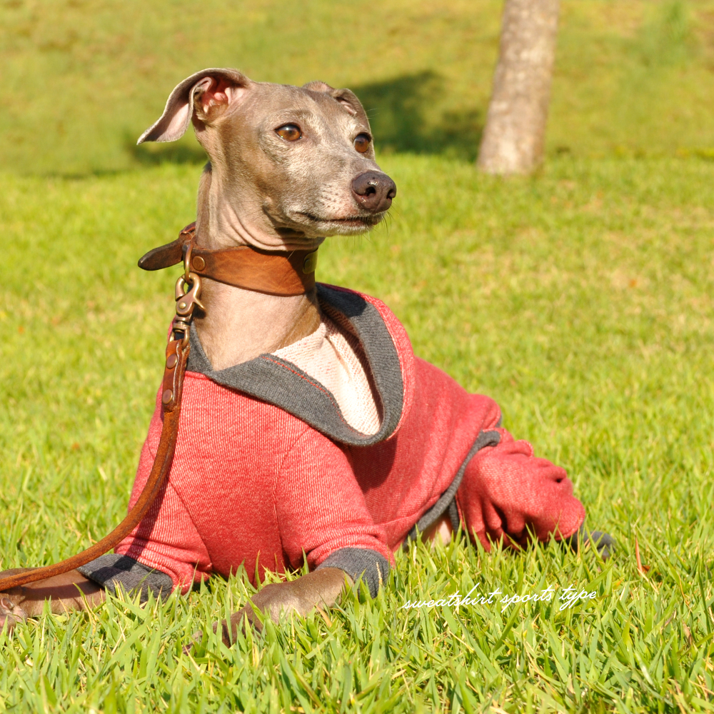 イタグレ服|ミニピン服|犬服|トレーナー|スポーツタイプ|選べる4タイプ×3カラー(ポピーレッド/栗色/ロイヤルブルー)
