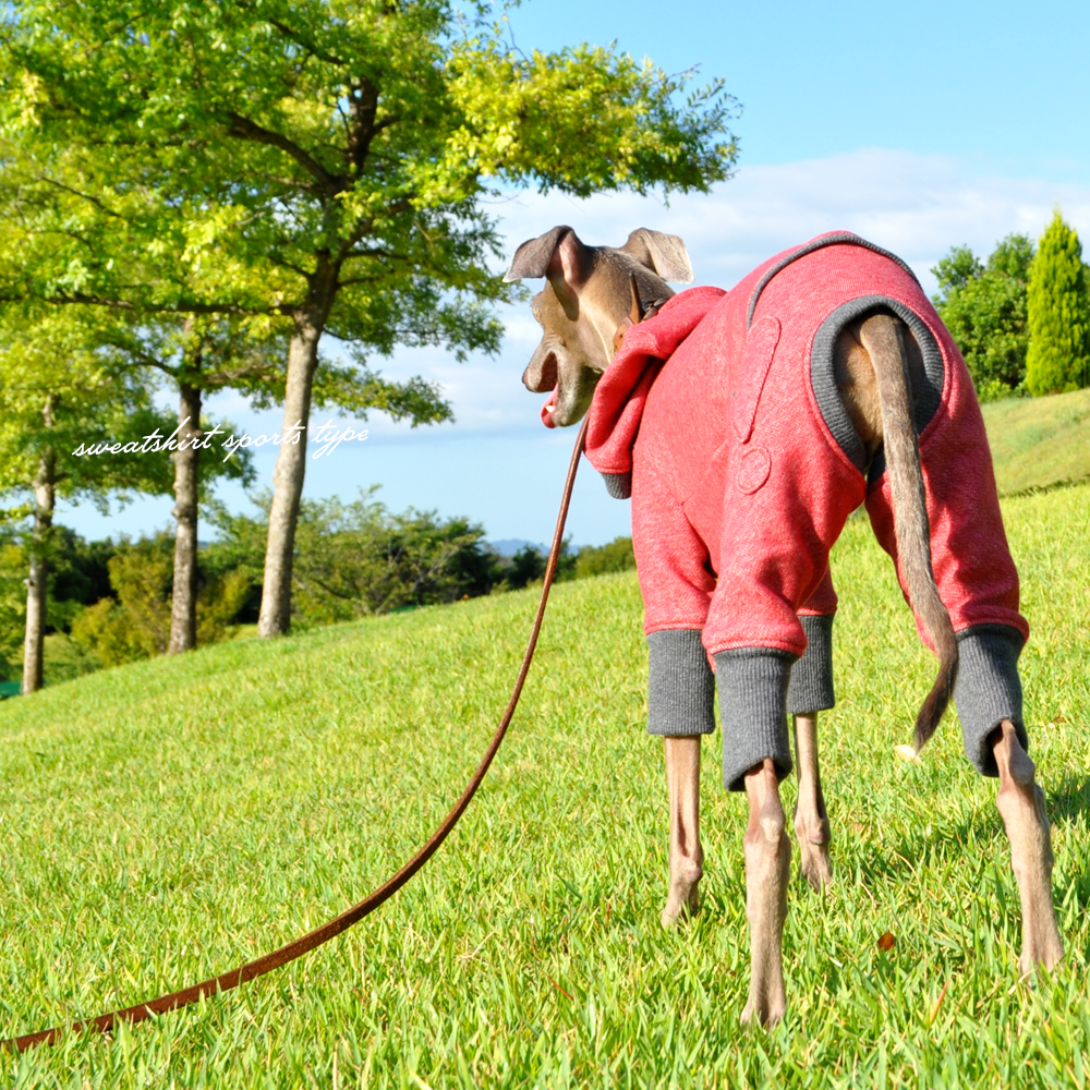 イタグレ服|ミニピン服|犬服|トレーナー|スポーツタイプ|選べる4タイプ×3カラー(ポピーレッド/栗色/ロイヤルブルー)
