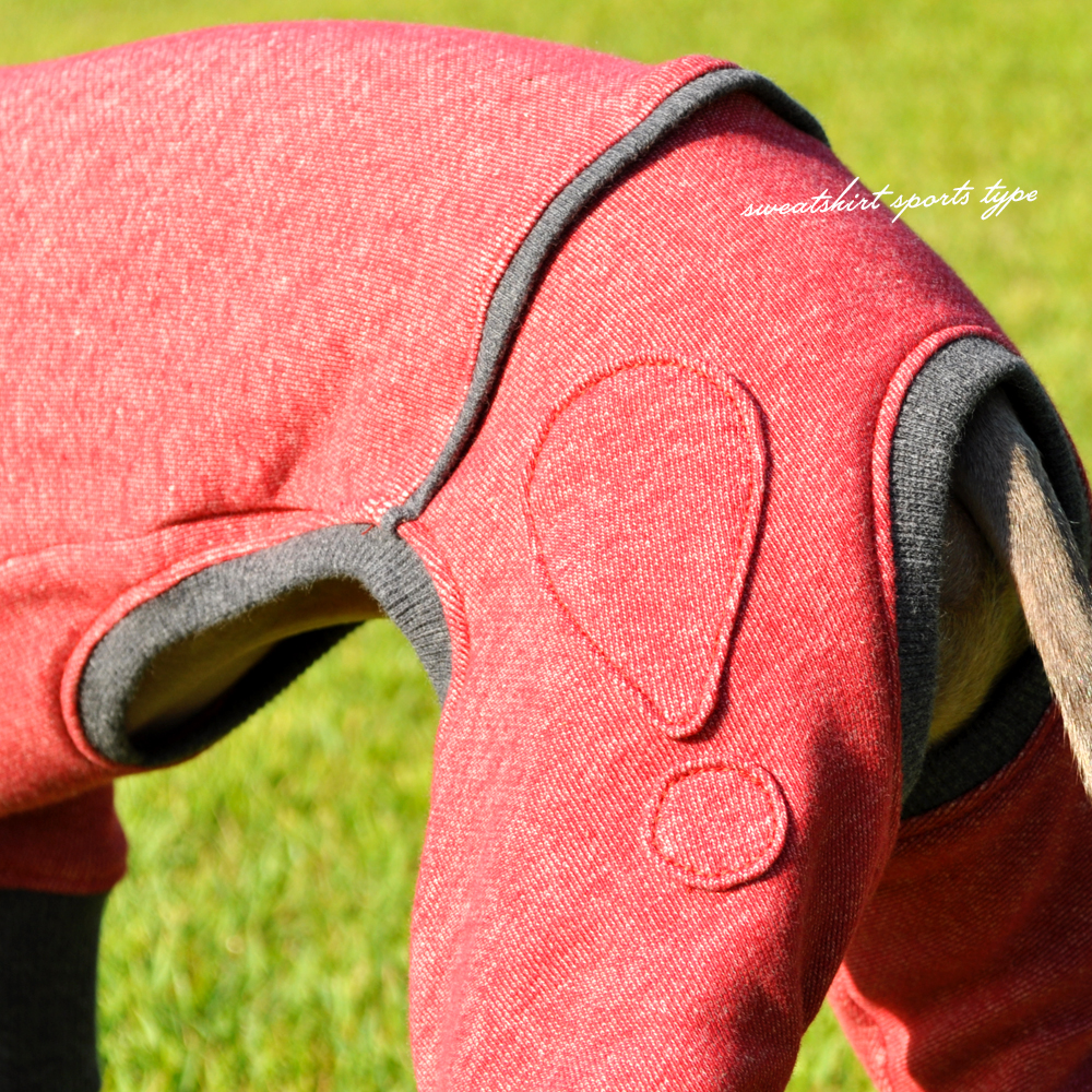 イタグレ服|ミニピン服|犬服|トレーナー|スポーツタイプ|選べる4タイプ×3カラー(ポピーレッド/栗色/ロイヤルブルー)