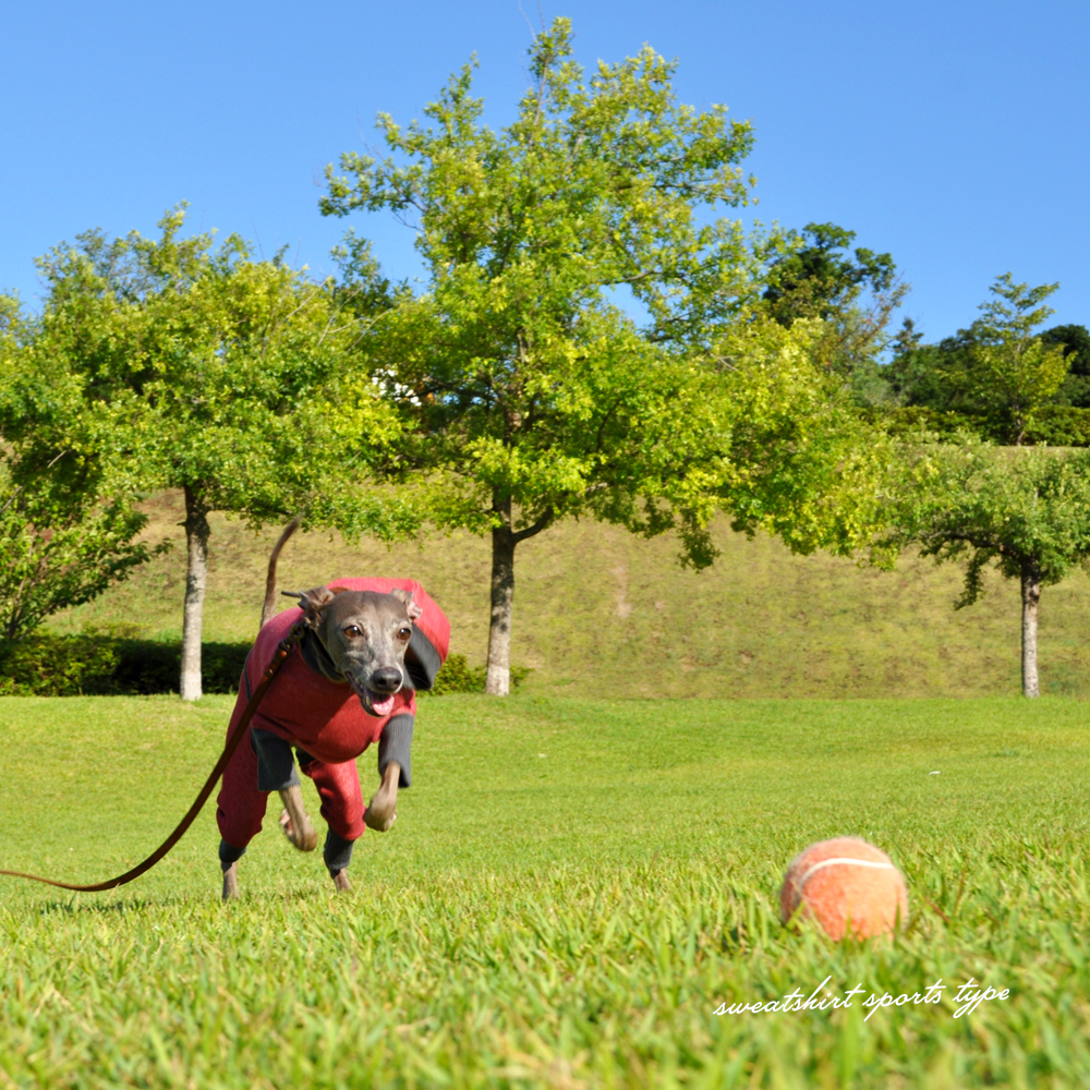 イタグレ服|ミニピン服|犬服|トレーナー|スポーツタイプ|選べる4タイプ×3カラー(ポピーレッド/栗色/ロイヤルブルー)